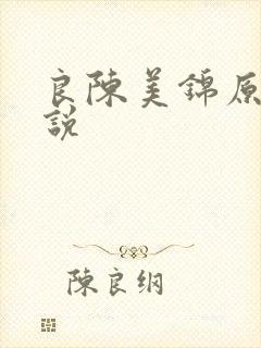 良陈美锦原著小说