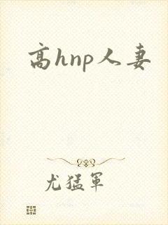 高hnp人妻封面