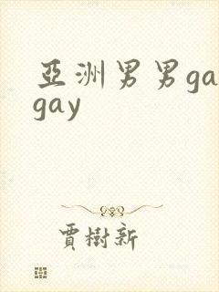亚洲男男gaygay