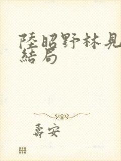 陆昭野林见疏大结局封面