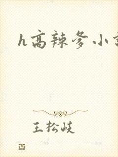 h高辣爹小说