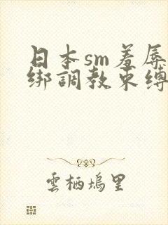 日本sm羞辱捆绑调教束缚