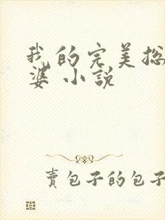 我的完美总裁老婆 小说