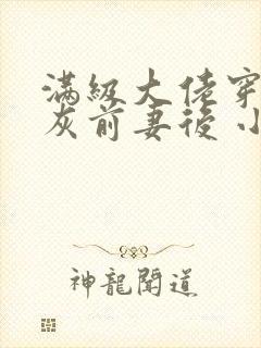 满级大佬穿成炮灰前妻后 小说