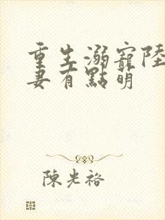 重生溺宠陆少甜妻有点萌