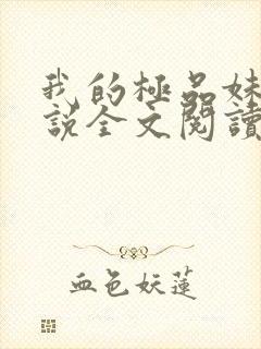 我的极品妹妹小说全文阅读