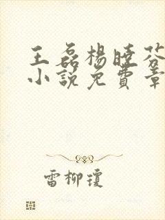 王磊杨晓芬后妈小说免费章节