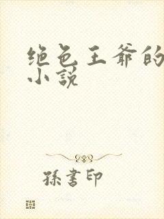 绝色王爷的傻妃小说封面