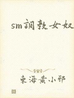 sm调教女奴文