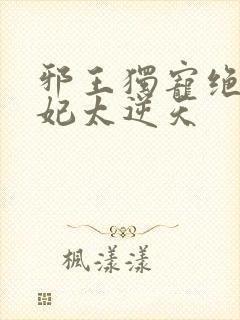 邪王独宠绝世医妃太逆天封面