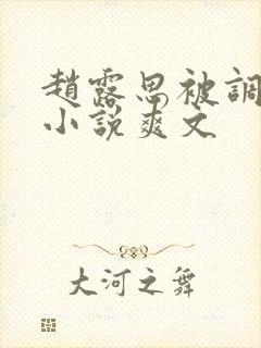 赵露思被调教h小说爽文