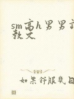 sm高h男男调教文