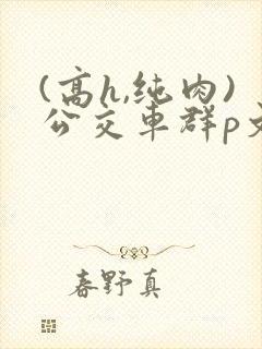 (高h,纯肉)公交车群p文