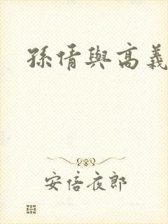 孙倩与高义封面