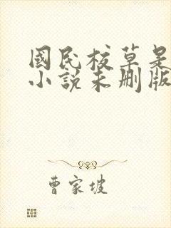国民校草是女生小说未删版