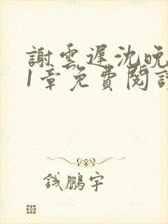 谢云迟沈晚梨21章免费阅读最新章节更