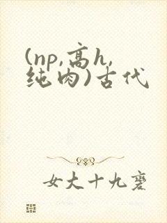(np,高h,纯肉)古代