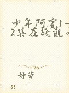 少年阿宾1—72集在线观看视频