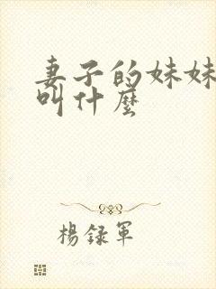 妻子的妹妹丈夫叫什么