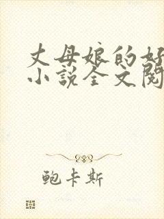 丈母娘的好女婿小说全文阅读封面
