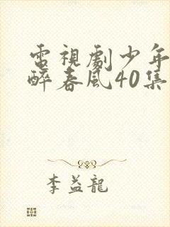 电视剧少年白马醉春风40集全封面