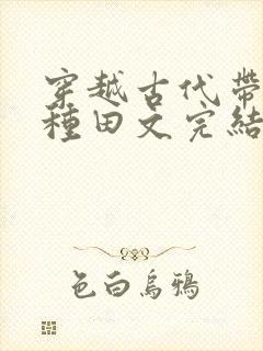 穿越古代带空间种田文完结