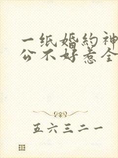一纸婚约神秘老公不好惹全文免费阅读