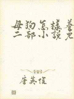 母狗怎样养熟第二部小说免费阅读封面