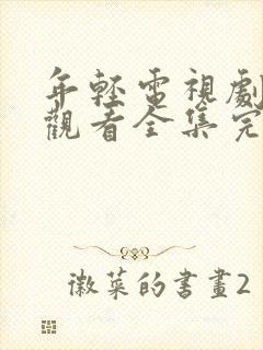 年轻电视剧免费观看全集完整版高清封面
