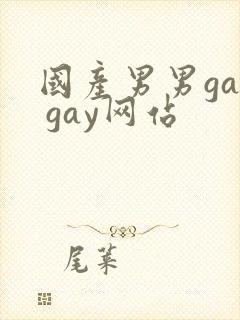 国产男男gay gay网站