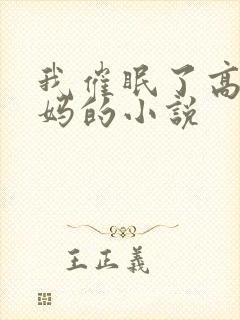 我催眠了高冷妈妈的小说