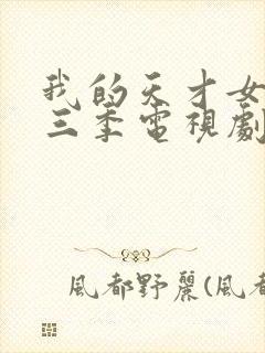 我的天才女友第三季电视剧