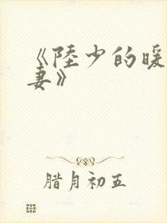 《陆少的暖婚新妻》封面