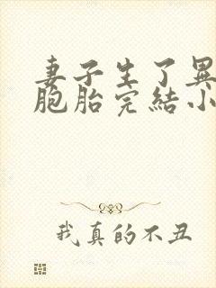 妻子生了异父双胞胎完结小说