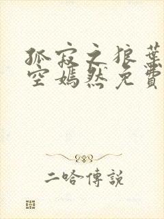 孤寂之狼叶凡司空嫣然免费阅读全文小说