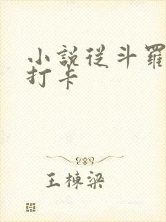 小说从斗罗开始打卡