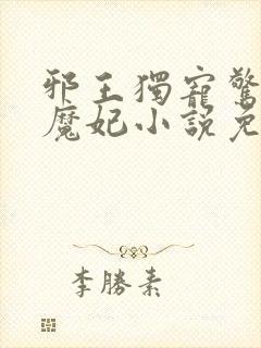 邪王独宠惊世小魔妃小说免费阅读