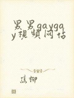 男男gaygay视频网站