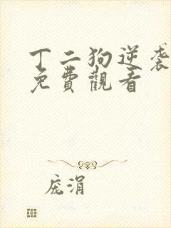 丁二狗逆袭人生免费观看