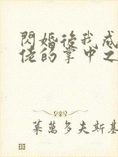 闪婚后我成了大佬的掌中之物完结版封面