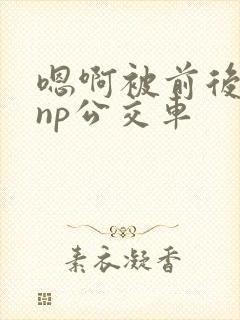 嗯啊被前后夹击np公交车