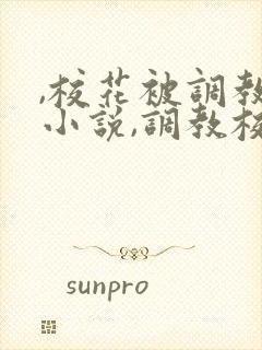 ,校花被调教h小说,调教校花为奴