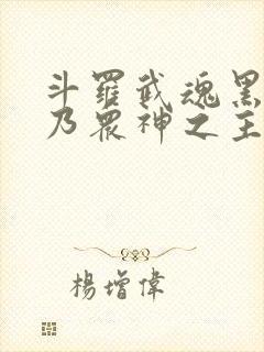 斗罗武魂黑龙吾乃众神之主封面