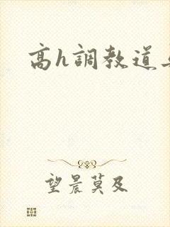 高h调教道具文