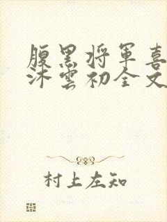 腹黑将军喜当爹沐云初全文免费阅读封面