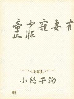 帝少宠妻有点甜正版封面