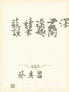 苏婧瑶君泽辰小说笔趣阁