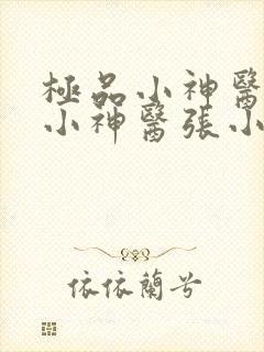 极品小神医极品小神医张小凡