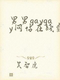 男男gaygay网站在线观看封面