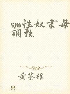 sm性奴隶母狗调教
